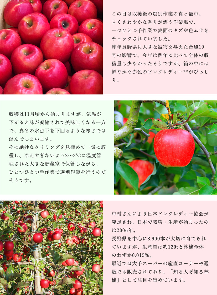 �s���N���f�B�[